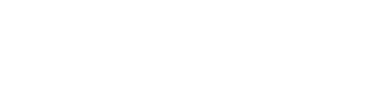 Webstarted Ventures